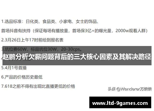 赵鹏分析欠薪问题背后的三大核心因素及其解决路径