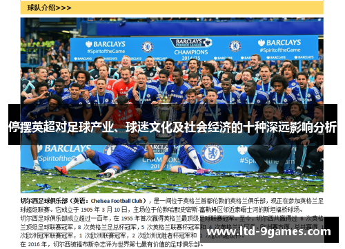 停摆英超对足球产业、球迷文化及社会经济的十种深远影响分析 停摆英超对足球产业、球迷文化及社会经济的十种深远影响分析