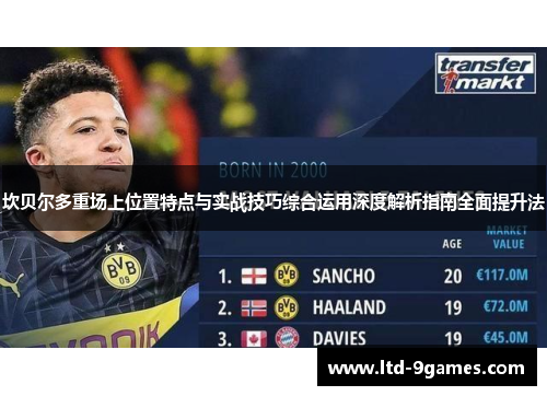 坎贝尔多重场上位置特点与实战技巧综合运用深度解析指南全面提升法 坎贝尔多重场上位置特点与实战技巧综合运用深度解析指南全面提升法