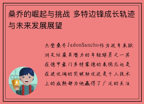 桑乔的崛起与挑战 多特边锋成长轨迹与未来发展展望